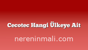 Cecotec Hangi Ülkeye Ait