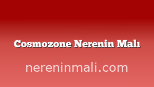 Cosmozone Nerenin Malı