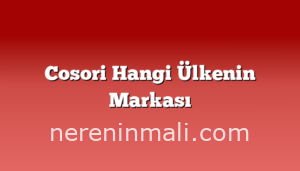 Cosori Hangi Ülkenin Markası