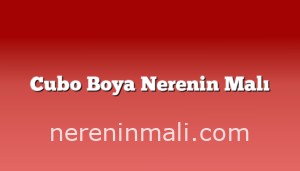 Cubo Boya Nerenin Malı