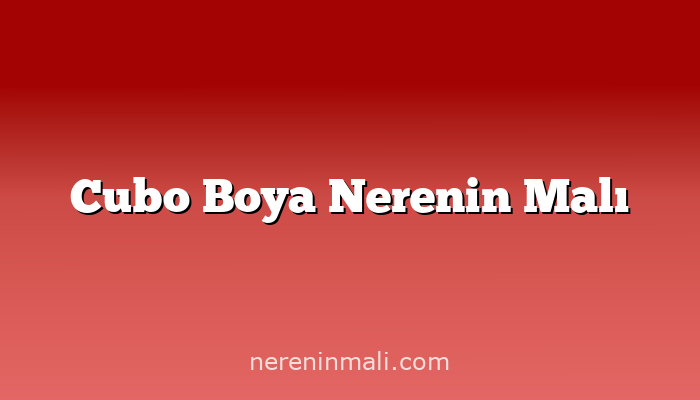 Cubo Boya Nerenin Malı