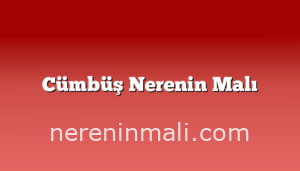 Cümbüş Nerenin Malı