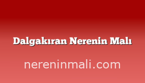 Dalgakıran Nerenin Malı