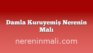 Damla Kuruyemiş Nerenin Malı