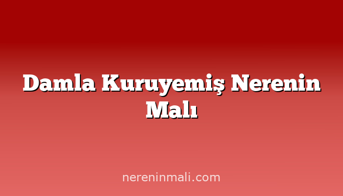 Damla Kuruyemiş Nerenin Malı