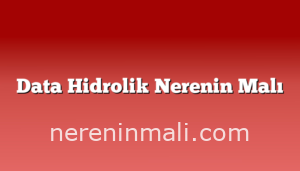 Data Hidrolik Nerenin Malı