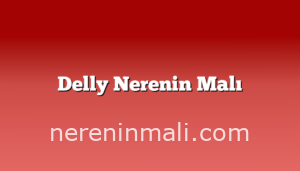 Delly Nerenin Malı