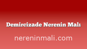 Demircizade Nerenin Malı