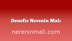 Denefis Nerenin Malı