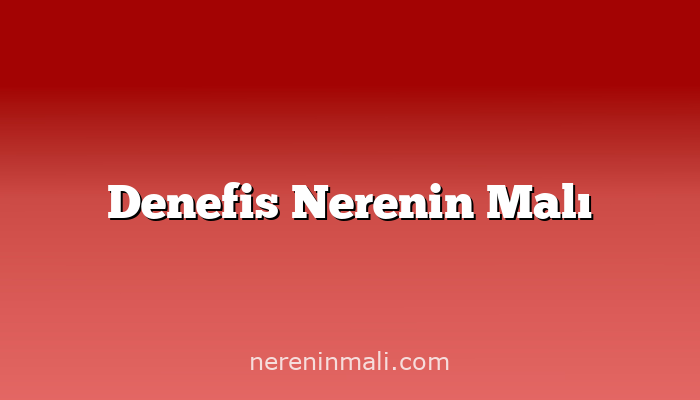 Denefis Nerenin Malı