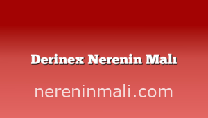 Derinex Nerenin Malı