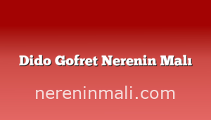 Dido Gofret Nerenin Malı