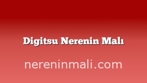 Digitsu Nerenin Malı