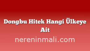 Dongbu Hitek Hangi Ülkeye Ait