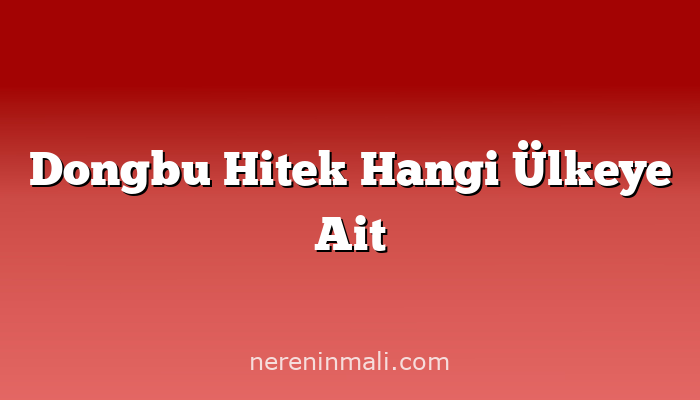 Dongbu Hitek Hangi Ülkeye Ait