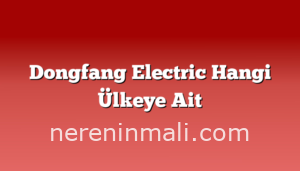 Dongfang Electric Hangi Ülkeye Ait