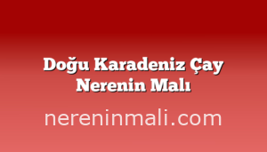 Doğu Karadeniz Çay Nerenin Malı