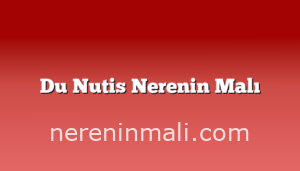 Du Nutis Nerenin Malı