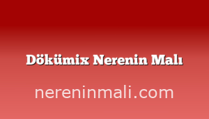 Dökümix Nerenin Malı