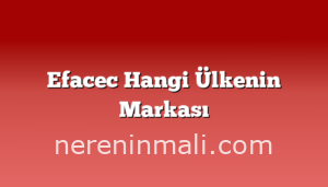 Efacec Hangi Ülkenin Markası