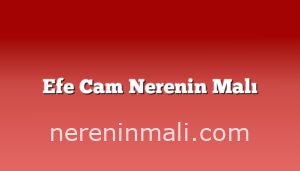 Efe Cam Nerenin Malı