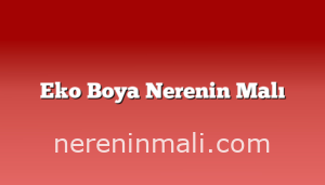 Eko Boya Nerenin Malı