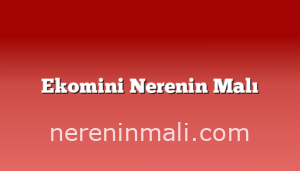 Ekomini Nerenin Malı