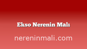 Ekso Nerenin Malı