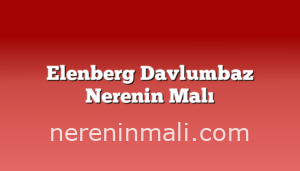 Elenberg Davlumbaz Nerenin Malı