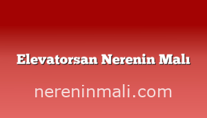 Elevatorsan Nerenin Malı