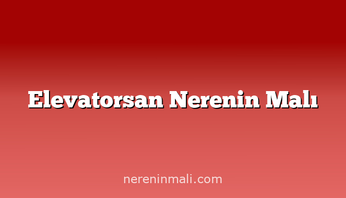 Elevatorsan Nerenin Malı