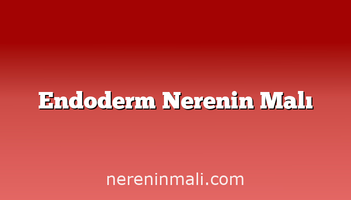 Endoderm Nerenin Malı