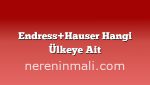 Endress+Hauser Hangi Ülkeye Ait