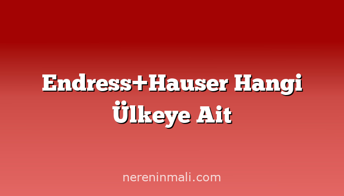 Endress+Hauser Hangi Ülkeye Ait