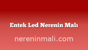 Entek Led Nerenin Malı