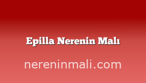 Epilla Nerenin Malı