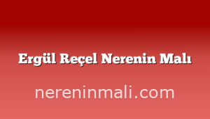 Ergül Reçel Nerenin Malı