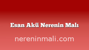 Esan Akü Nerenin Malı