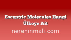 Escentric Molecules Hangi Ülkeye Ait