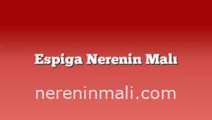 Espiga Nerenin Malı