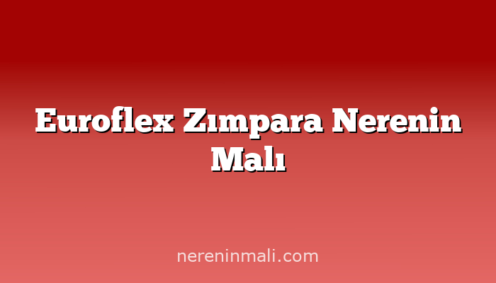 Euroflex Zımpara Nerenin Malı