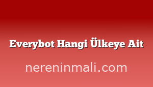 Everybot Hangi Ülkeye Ait