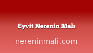 Eyvit Nerenin Malı