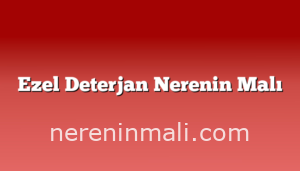 Ezel Deterjan Nerenin Malı