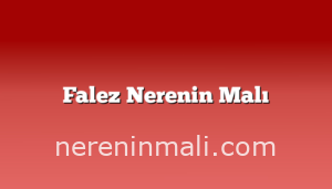 Falez Nerenin Malı