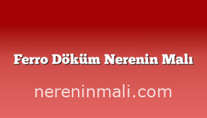 Ferro Döküm Nerenin Malı