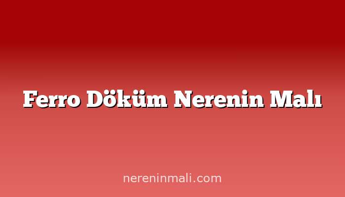 Ferro Döküm Nerenin Malı