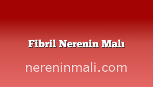 Fibril Nerenin Malı