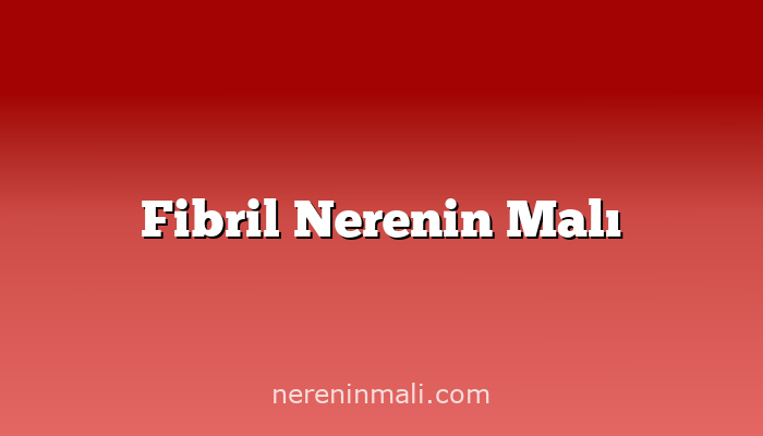 Fibril Nerenin Malı