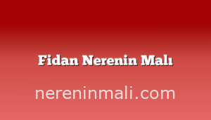 Fidan Nerenin Malı